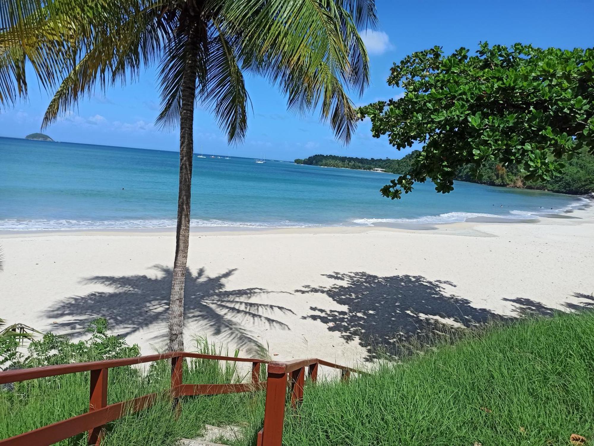 F3 Au Calme Vue Sur Mer 2 Chambres Balcon Terrasse Trinite  Exterior foto